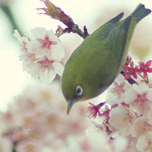 Thumbnail of post image 078