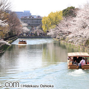 Thumbnail of post image 043