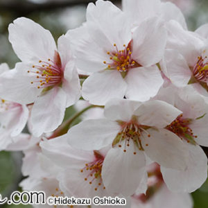 Thumbnail of post image 133