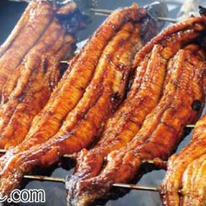 鰻の蒲焼き