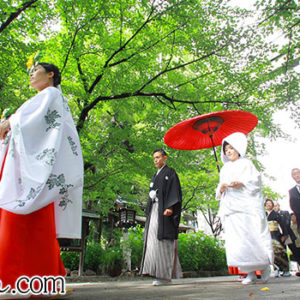 Thumbnail of post image 082