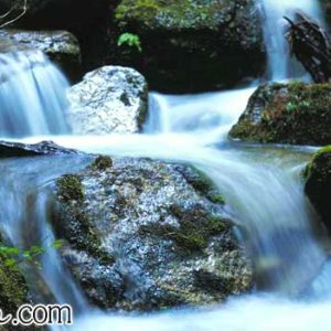 Thumbnail of post image 070