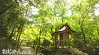 Thumbnail of post image 119