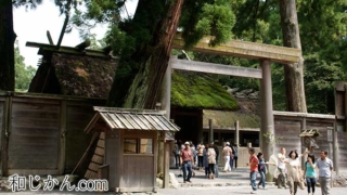 Thumbnail of post image 129