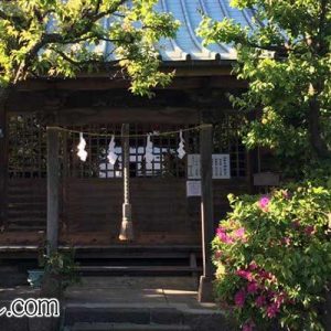 Thumbnail of post image 061