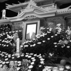 Thumbnail of post image 074