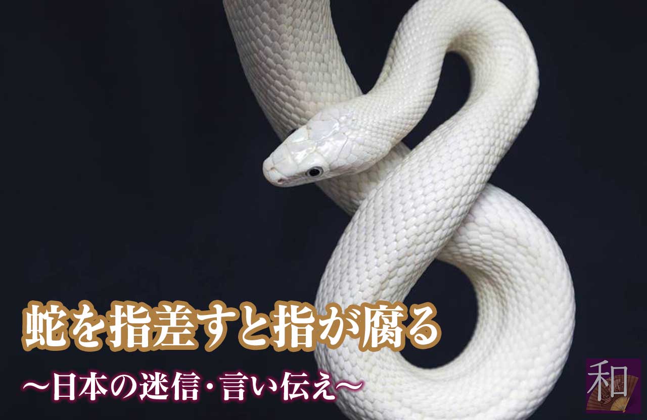 蛇を指差すと指が腐る 日本の迷信 和じかん Com
